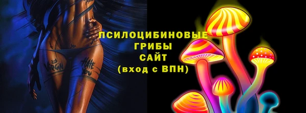 амф Надым